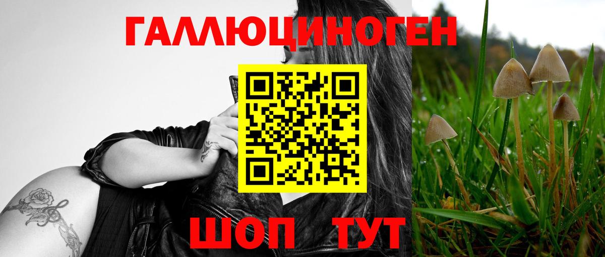 Псилоцибиновые грибы Cubensis  Галлюциногенные грибы мухоморы  Аша  Вход с VPN 